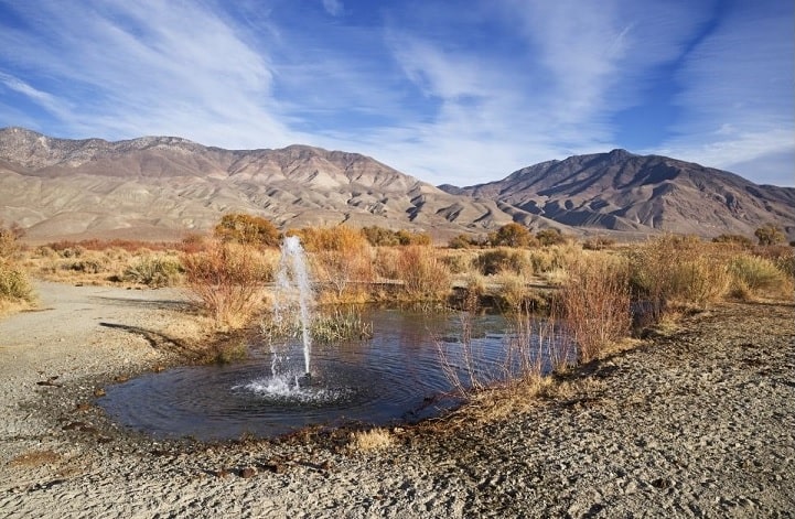 Artesian Spring in Desert