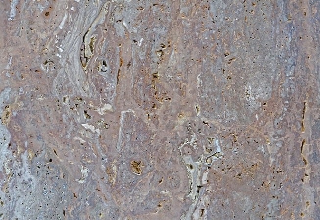 limestone close up