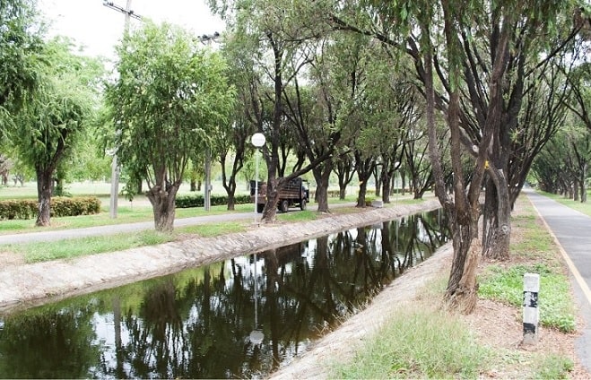 walkway and swale beside