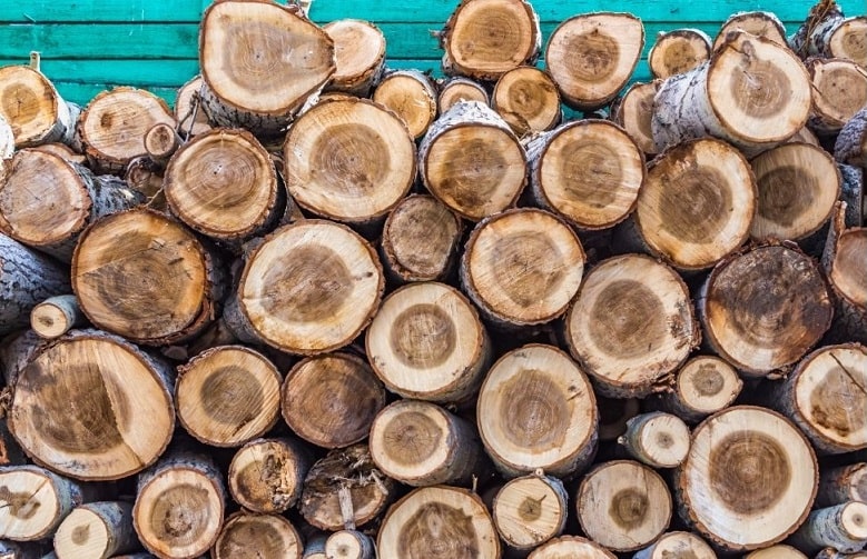 stack of softwood logs